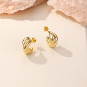 Lia Chunky Double Cresent Moon Earrings