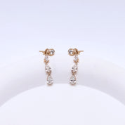 Glamorous Degradé Dangling Earrings