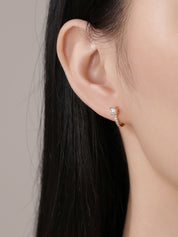 Splendid Diamond Hoop Earrings