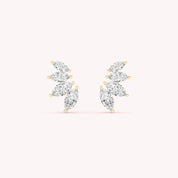 Arya Climbers Stud Earrings