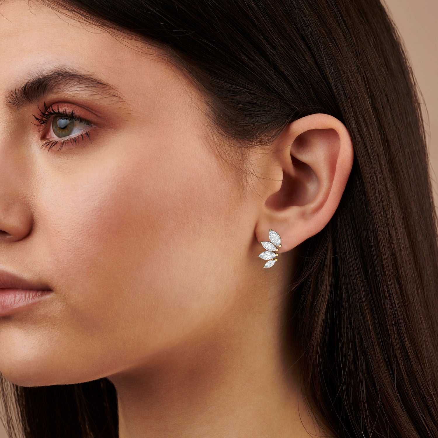 Arya Climbers Stud Earrings