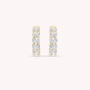 June Elegant Stud Earrings