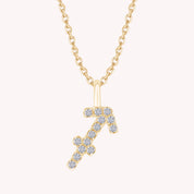 Zodiac Sign's Moissanite Diamond Necklace