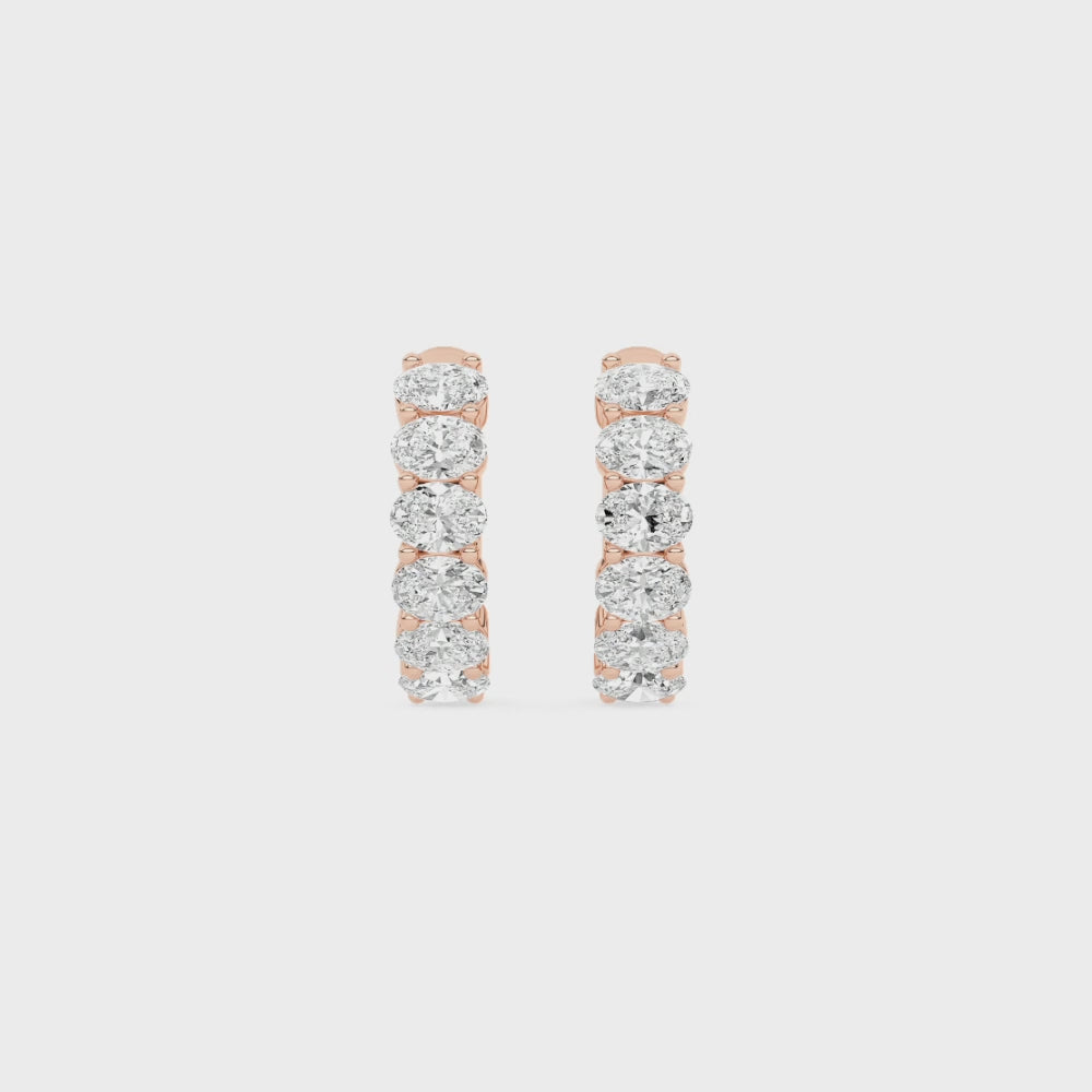 June Elegant Stud Earrings